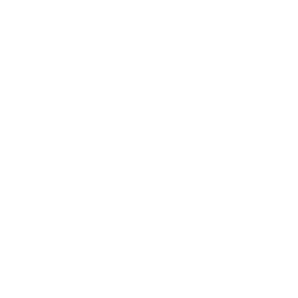 Physiotherapists
